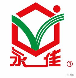 创意飞扬，智造未来——石狮市首届纸玩大赛圆满落幕，国内贸易代理企业彰显创新力量